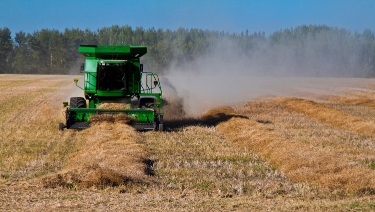 Agricultural Belting